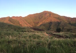 Mt Balingkilat