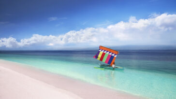 Pink Sand Beach of Sta Cruz Island