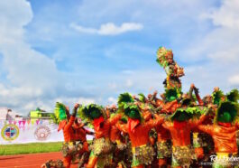Pintados Festival