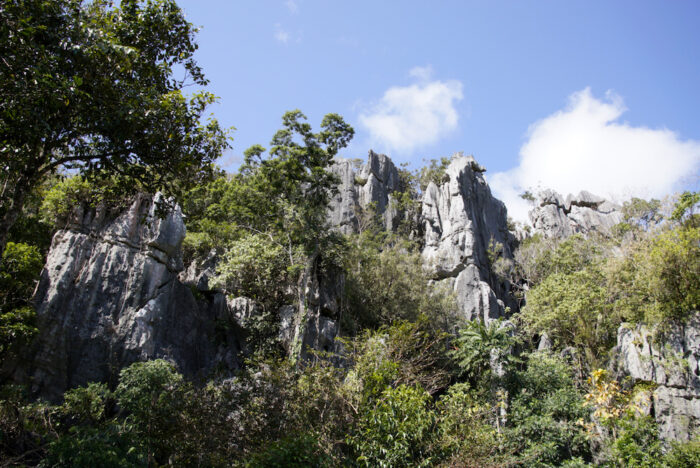 Spectacular limestone formations surround the georeserve Photo by Erik Cajulis