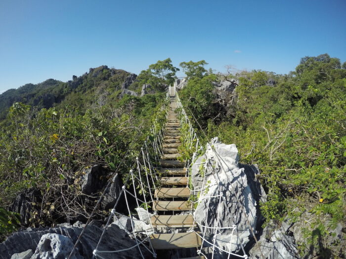 The bridge connecting the giant sapot to the other side Photo by Bam Bondoc