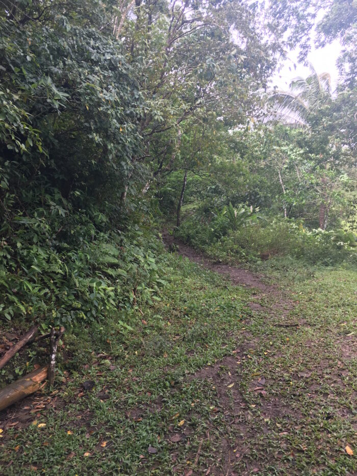 That damp & slippery path