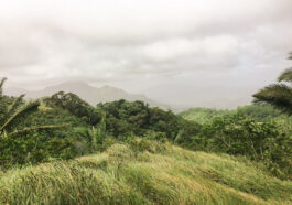 Looks like the summit of Mt. Naguling