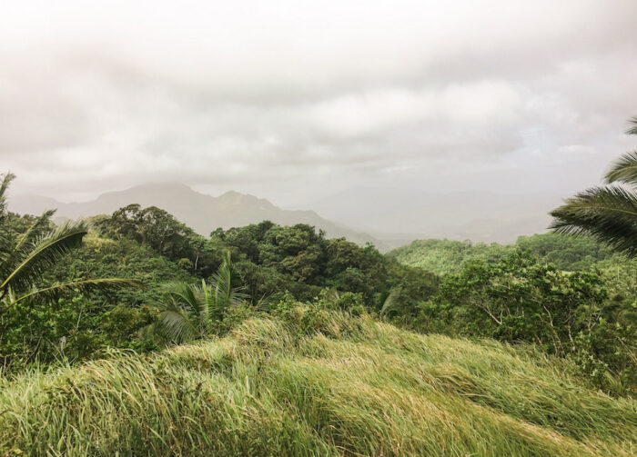 Looks like the summit of Mt. Naguling