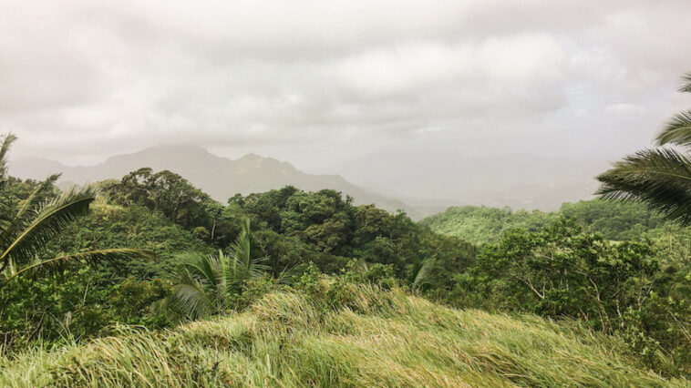 Looks like the summit of Mt. Naguling
