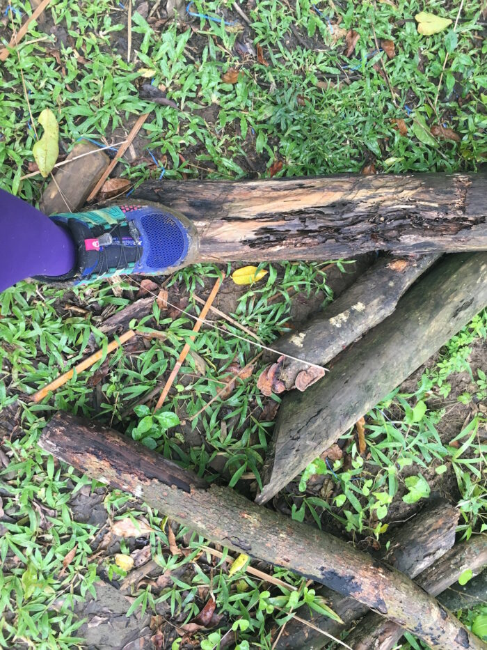 Muddy shoes