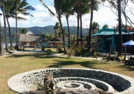 Nalu Surf Camp