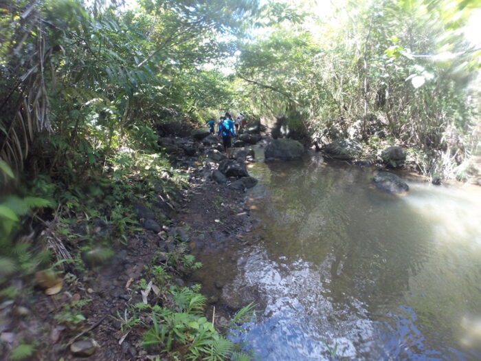 On our way to the waterfalls