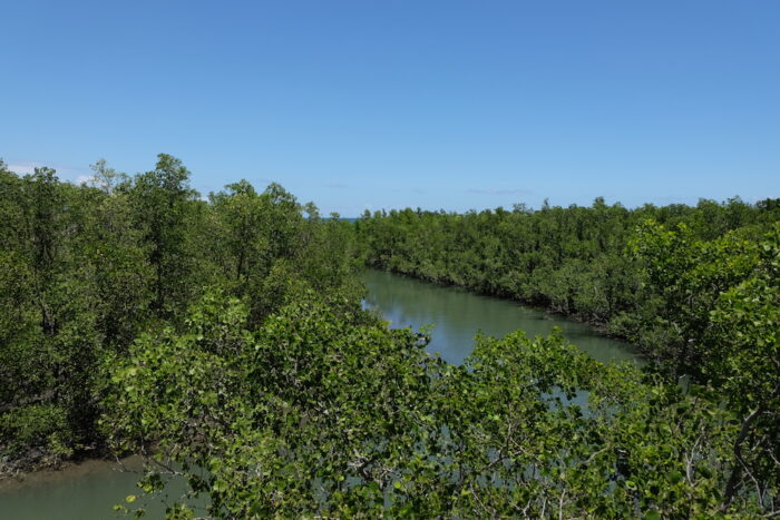 Silonay Mangrove Conservation Area