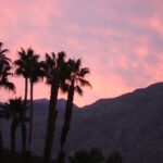 Sunset in Palm Springs