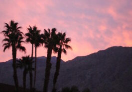 Sunset in Palm Springs