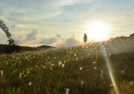 Beautiful sunrise at Mt. Hambubuyog, Ginatilan, Cebu