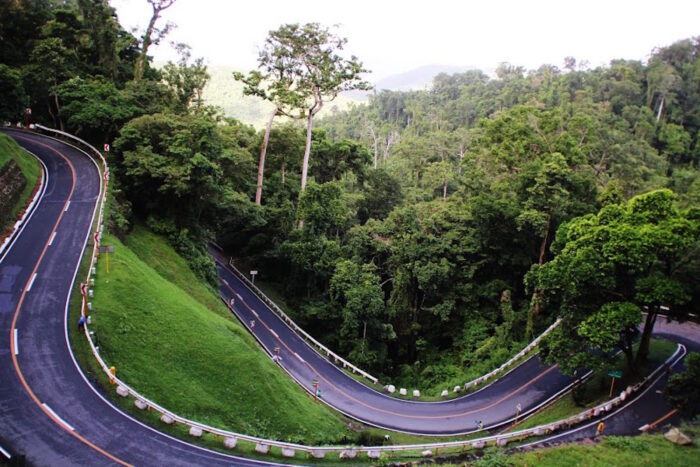 Bitukang Manok Road