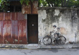 Little Children on a Bicycle