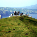 Marlboro Hills Batanes