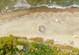 Save Our Seas sand art by AG Sano