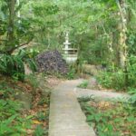 Tropical trees and shrubs flourishing in the zoological garden