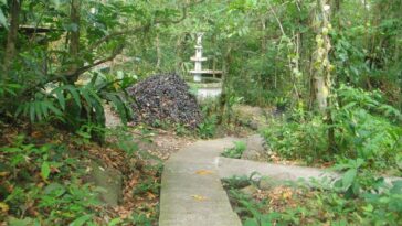 Tropical trees and shrubs flourishing in the zoological garden