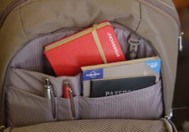 Usefull and Safe compartments for your travel documents and even wallet