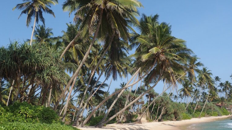 Sri Lanka Beach