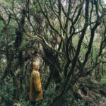 Wander more wonder less - Jantzen Tan