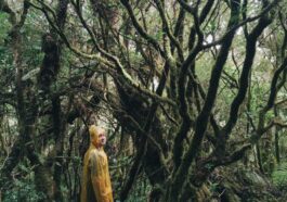 Wander more wonder less - Jantzen Tan