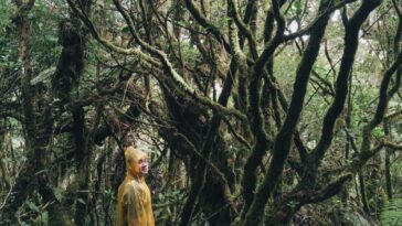 Wander more wonder less - Jantzen Tan