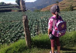 travelling with kids