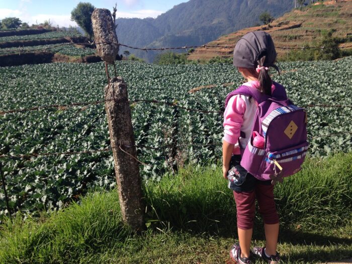 travelling with kids