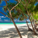Beach beds in the shade of palm trees on tropical white sand beach in Maldives