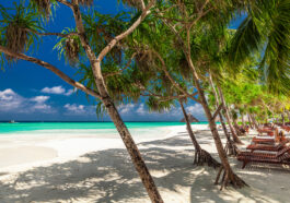 Beach beds in the shade of palm trees on tropical white sand beach in Maldives