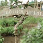 Medicinal plants grow in abundance in Nurture Wellness Spa