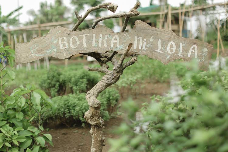 Medicinal plants grow in abundance in Nurture Wellness Spa