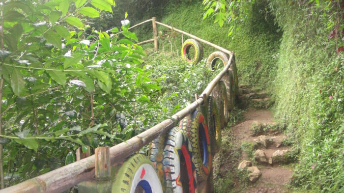 Hiking amid colors and nature breathes fascination inside the village