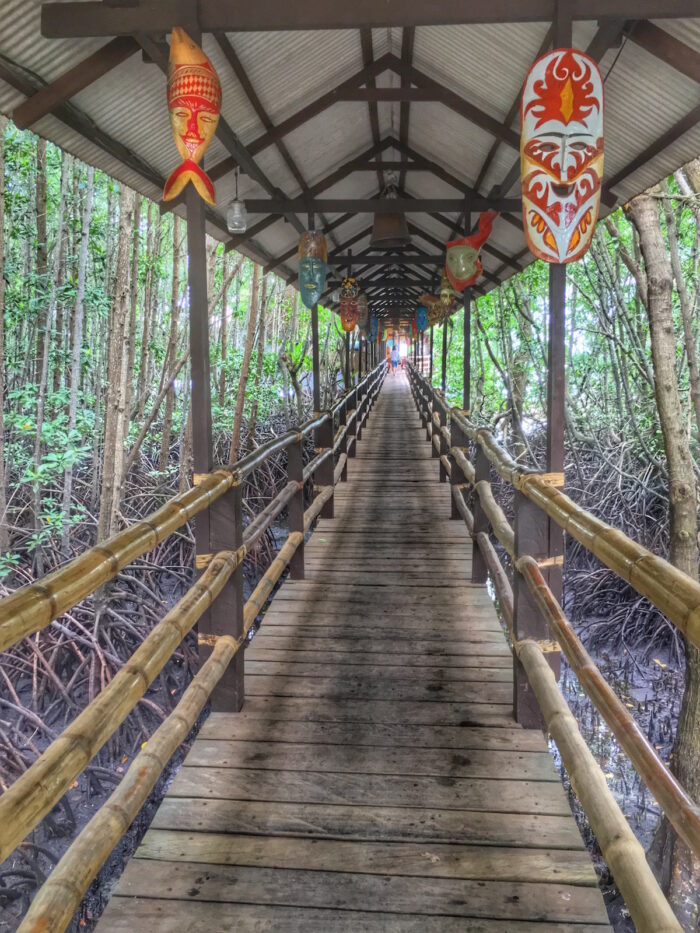 Mangrove laden pathway