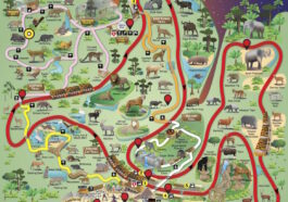 Night Safari - Pokemon Go Map