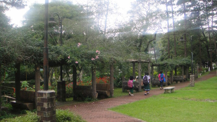 A lovely scenery for picnics