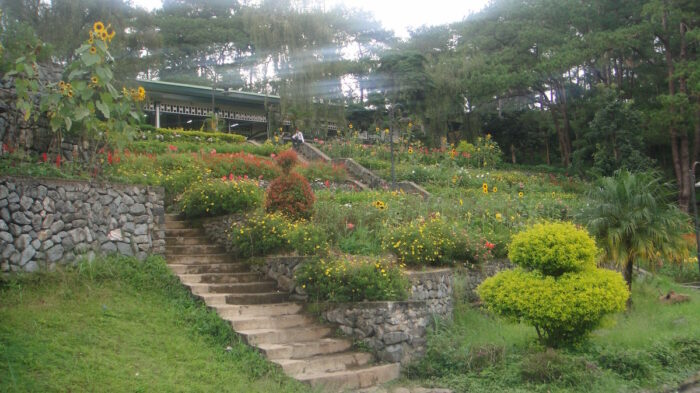 An abundance of sunflowers shining the camp's main hall