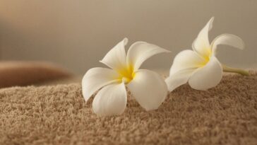 Luxurious Pampering at the Conrad Spa