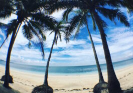 Roadside Beach in Carabao Island