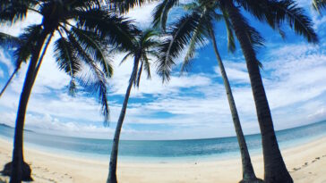 Roadside Beach in Carabao Island