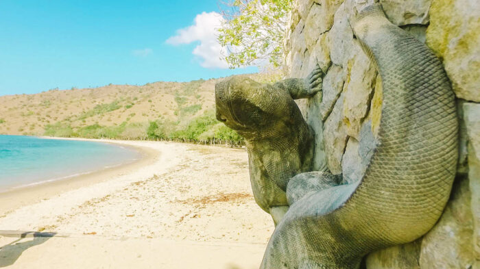 Komodo Dragons