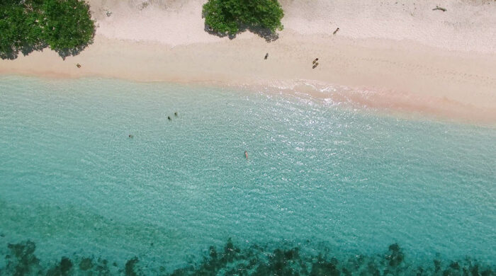 bird's-eye view of the pink beach Photo by iwwm