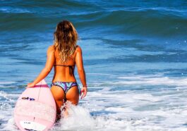 Surfing Lessons