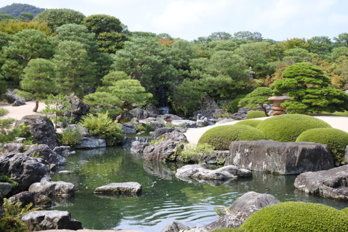 A beautiful natural pond