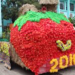 La Trinidad Strawberry Festival 2017