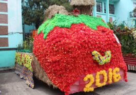 La Trinidad Strawberry Festival 2017