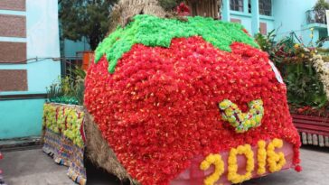 La Trinidad Strawberry Festival 2017