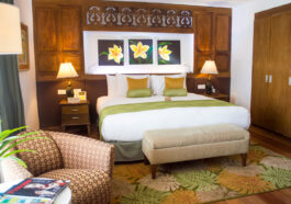 1 Bedroom Suite at Cocoon Boutique Hotel