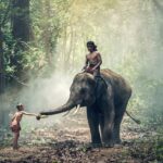Elephant Village